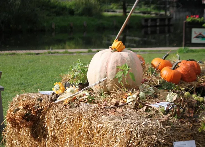 Pensionat Spreewaldhof