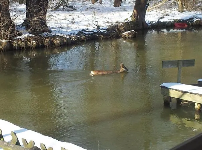 Spreewaldhof Pensionat Leipe