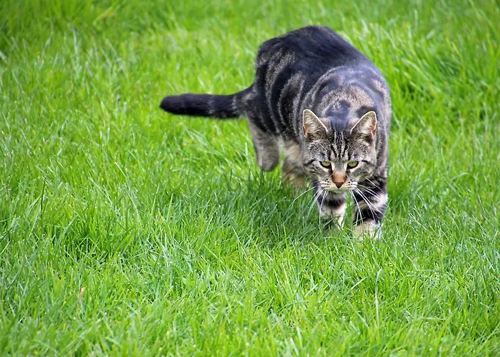 Guest house Spreewaldhof Leipe